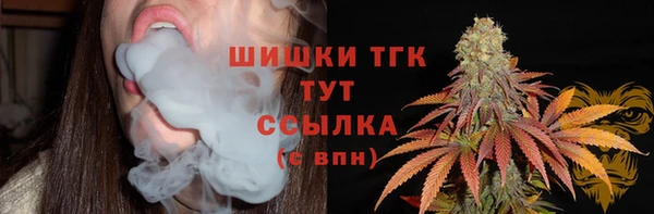 PSILOCYBIN Покачи