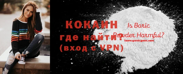 PSILOCYBIN Покачи