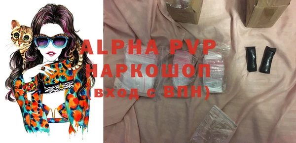 PSILOCYBIN Покачи