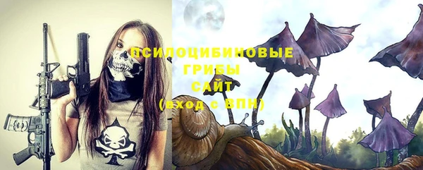 ешки Кодинск