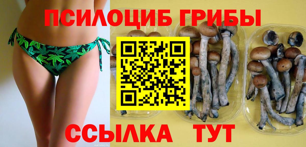 Вязьма  Канабис  Мефедрон   Цена  Гашиш  COCAIN 