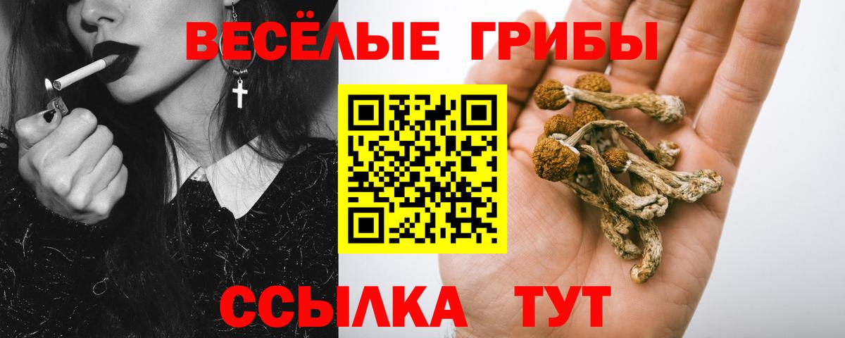 Псилоцибиновые грибы прущие грибы  Вход с VPN  Вязьма 