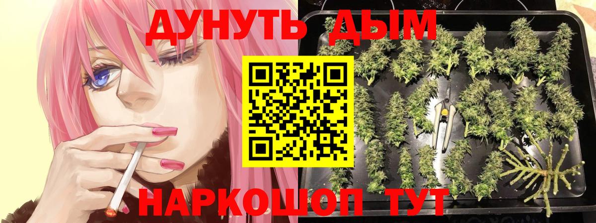 Шишки марихуана Bruce Banner Вязьма