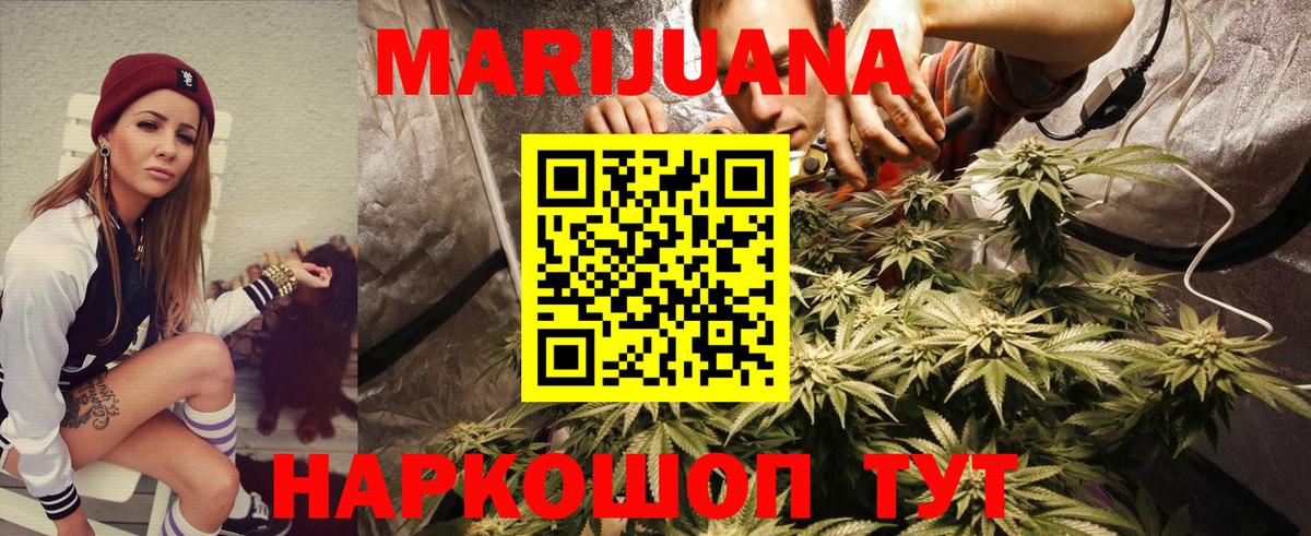 Каннабис индика Вязьма